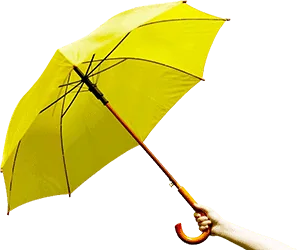 Insurance Services